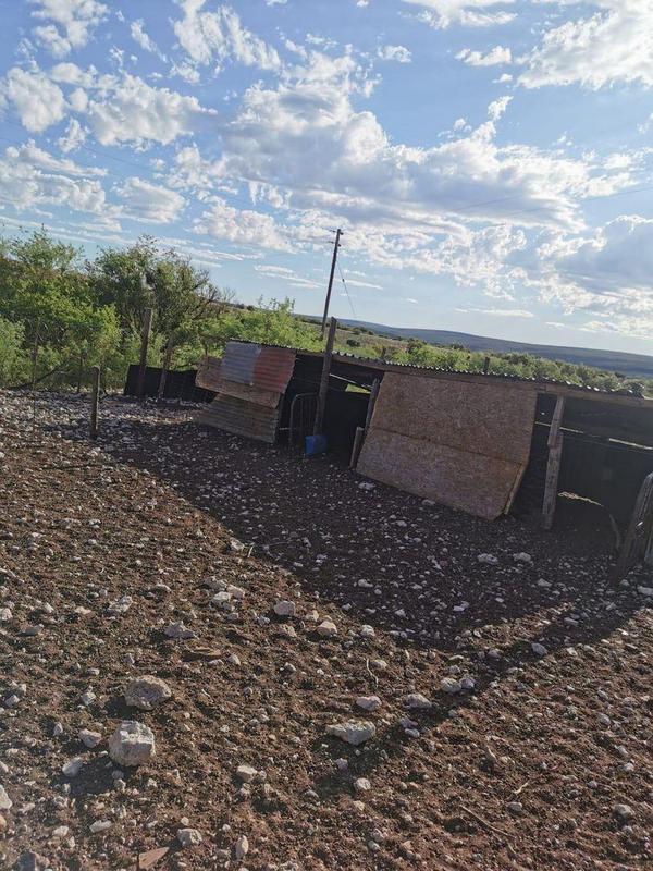 4 Bedroom Property for Sale in Griekwastad Northern Cape